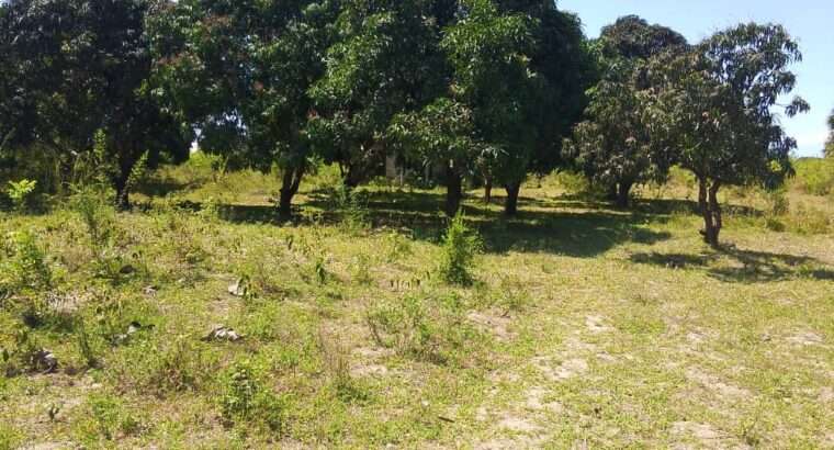 SHAMBA EKA 2.6/NYUMBA,TSHS.79 MIL KEREGE