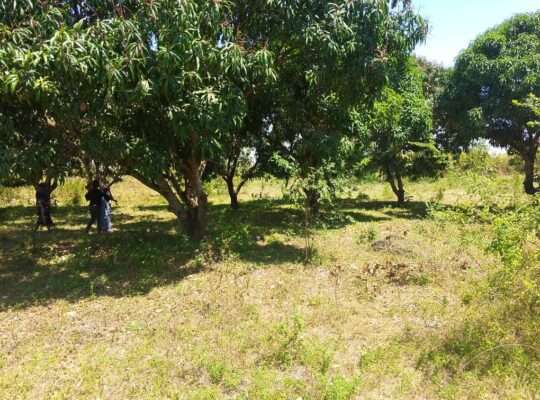 SHAMBA EKA 2.6/NYUMBA,TSHS.79 MIL KEREGE