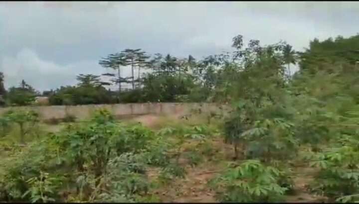 YARD-EKARI MOJA, TSHS.BILIONI MOJA, SEGEREA.