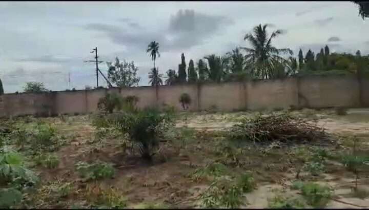 YARD-EKARI MOJA, TSHS.BILIONI MOJA, SEGEREA.