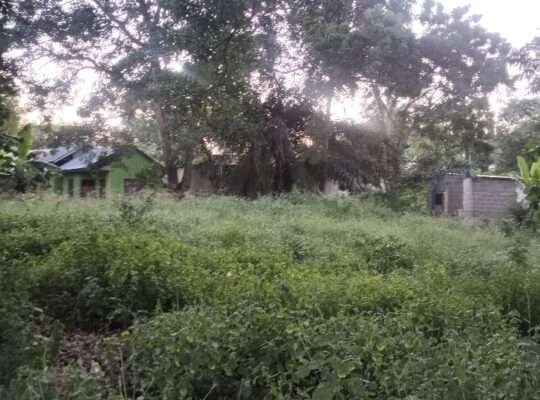 KIWANJA KIZURI JIARANI NA LAMI,KILUVYA KWA-KOMBA