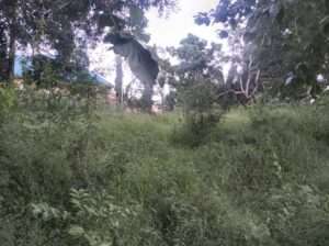 KIWANJA KIZURI JIARANI NA LAMI,KILUVYA KWA-KOMBA