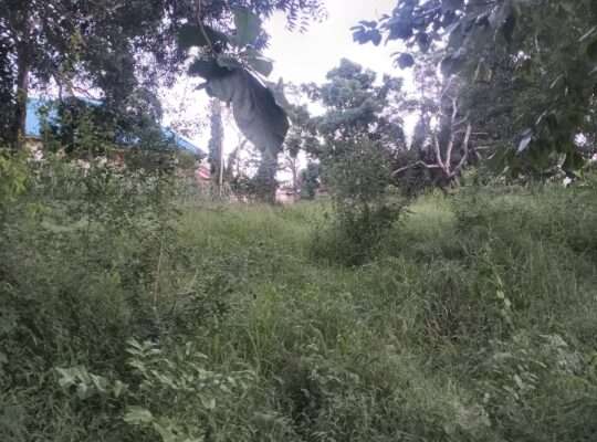 KIWANJA KIZURI JIARANI NA LAMI,KILUVYA KWA-KOMBA