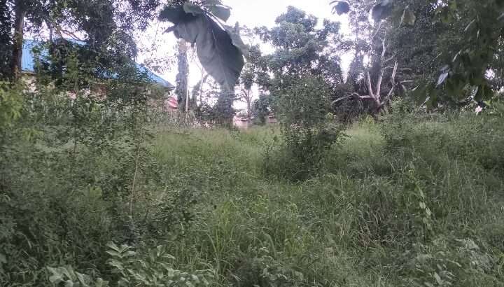 KIWANJA KIZURI JIARANI NA LAMI,KILUVYA KWA-KOMBA