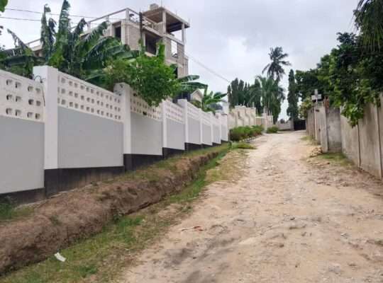 INAUZA BANK, TSHS.180 MILIONI TU, MAKONGO JUU