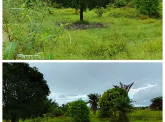 Plot for sale at Kigamboni Kisarawe 2