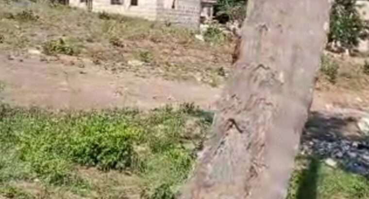 KIWANJA CHENYE HATI. SQM.2,700,MBEZI-MUHIMBILI.