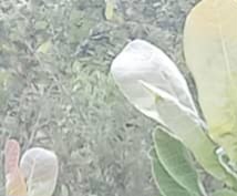 Industrial plot in Mlandizi Kibaha