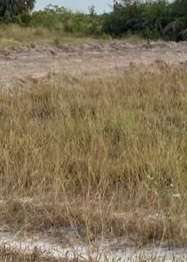 Commercial plot in Gezaulole kigamboni