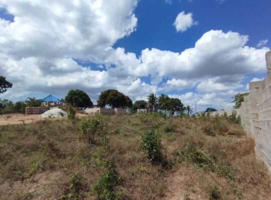 KOWANJA SQM.480,TSHS.6 MILIONI TU,MVUTI/ SHULE