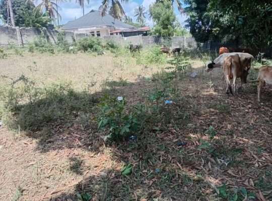 KIWANJA CHENYE HATI,TSHS.115 MIL.BUNJU-B