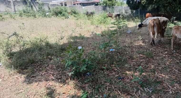 KIWANJA CHENYE HATI,TSHS.115 MIL.BUNJU-B