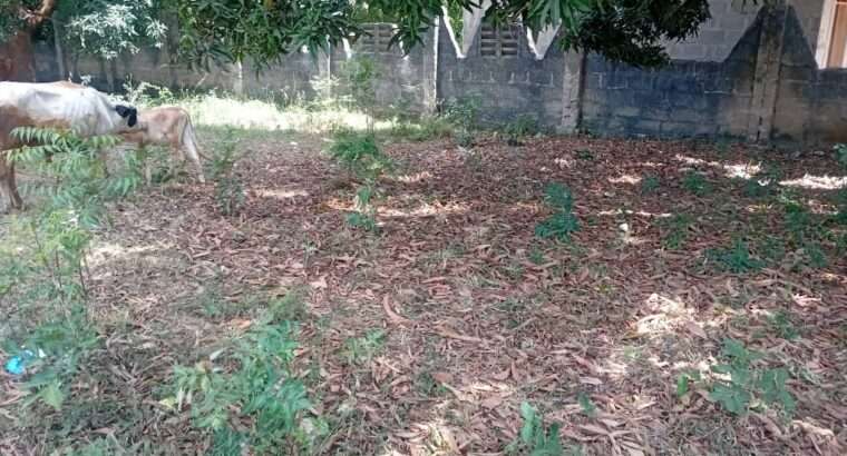 KIWANJA CHENYE HATI,TSHS.115 MIL.BUNJU-B