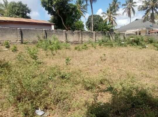 KIWANJA CHENYE HATI,TSHS.115 MIL.BUNJU-B