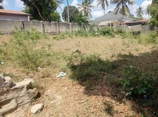 KIWANJA CHENYE HATI,TSHS.115 MIL.BUNJU-B