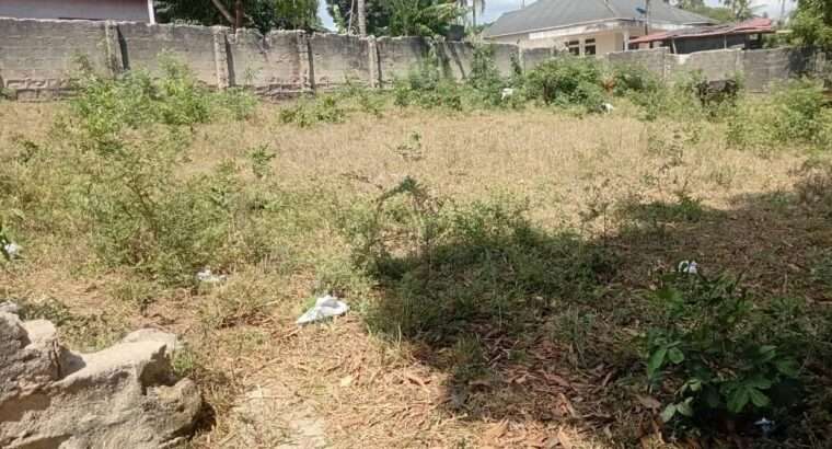 KIWANJA CHENYE HATI,TSHS.115 MIL.BUNJU-B