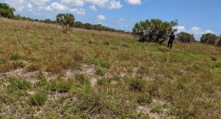 KIWANJA KINA HATI,SQM.966,TSHS.9 MIL,TU, KIMBIJI