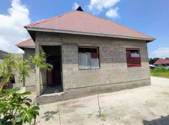NYUMBA YAKUMALIZIA KIDOGO,TSHS.20 MIL.,KIVULE