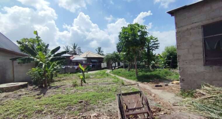 NYUMBA YA VYUMBA 9, TSHS.50 MIL,KIVULE FREMUKUMI