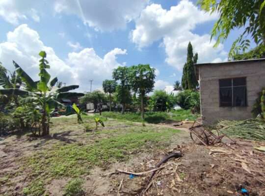 NYUMBA YA VYUMBA 9, TSHS.50 MIL,KIVULE FREMUKUMI