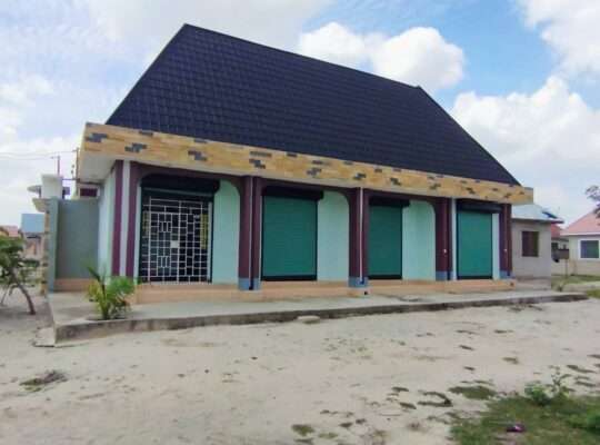 YA-VYUMBA 6,MADUKA 5, TSHS.85 MIL,KIVULE-FREMUKU