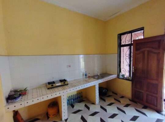 YA-VYUMBA VINNE (4) TSHS.55 MIL,KIVULE/MSONGOLA