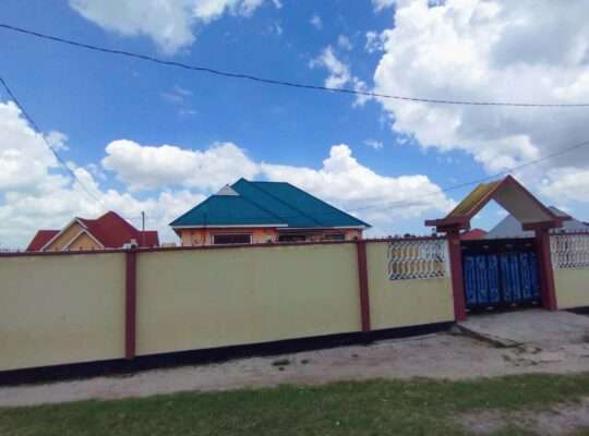 YA-VYUMBA VINNE (4) TSHS.55 MIL,KIVULE/MSONGOLA