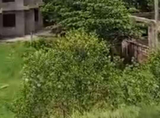 KIWANJA CHENYE HATI,SQM.1440,TSHS.230 MIL.MBEZI