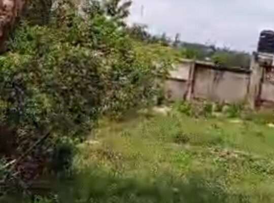 KIWANJA CHENYE HATI,SQM.1440,TSHS.230 MIL.MBEZI