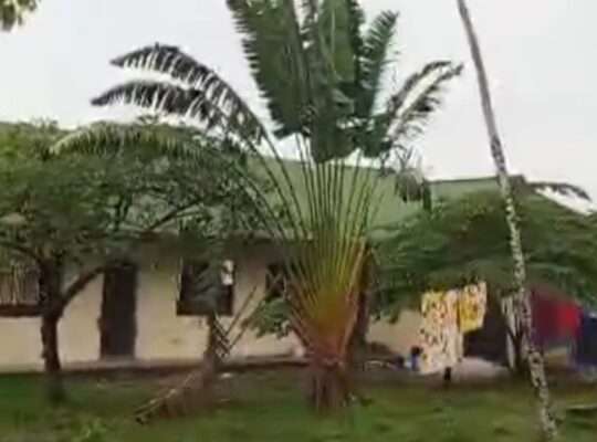 MAJENGO YA SHULE/EKARI 3,TSHS.1.5 BIL,KIBAHA.