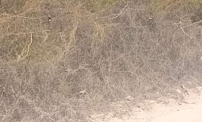 Plot in Gezaulole kigamboni