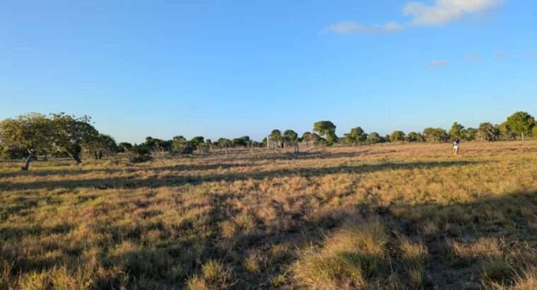 KIWANJA CHA BEACH/HATI,SQM 448,PUNA KIGA...