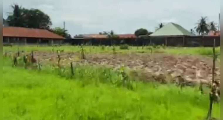 KIWANJA EKA 2.15, TSHS.800MIL,,KITUNDA