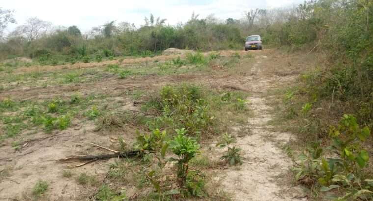 KIWANJA EKA 6 CHENYE HATI,TSHS.55 MIL.MLANDIZI.