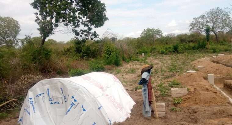 KIWANJA EKA 6 CHENYE HATI,TSHS.55 MIL.MLANDIZI.