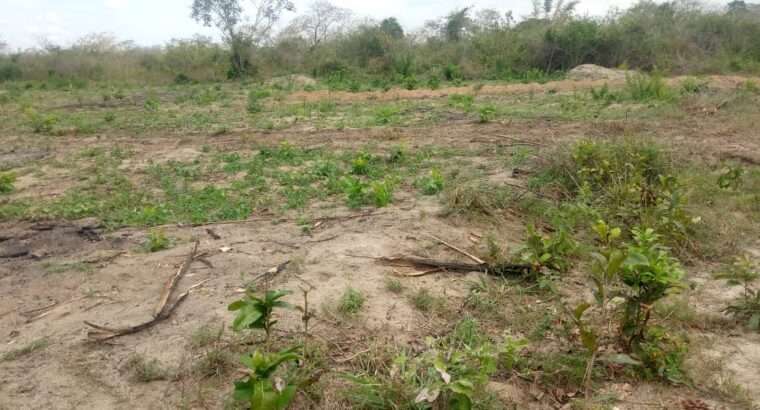 KIWANJA EKA 6 CHENYE HATI,TSHS.55 MIL.MLANDIZI.