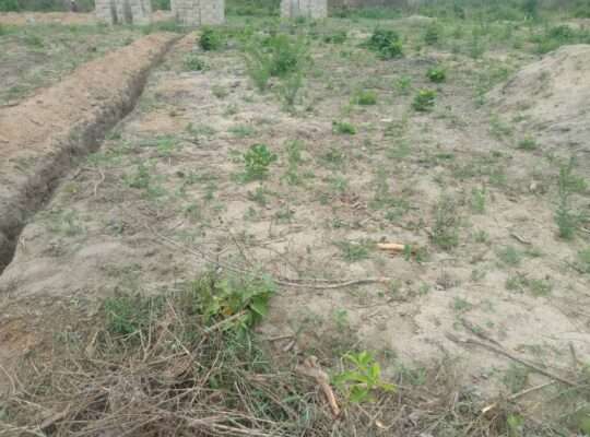 KIWANJA EKA 6 CHENYE HATI,TSHS.55 MIL.MLANDIZI.