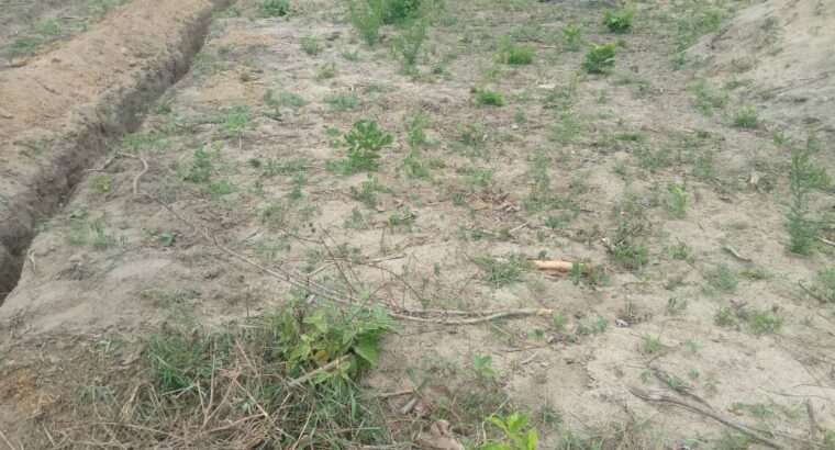 KIWANJA EKA 6 CHENYE HATI,TSHS.55 MIL.MLANDIZI.