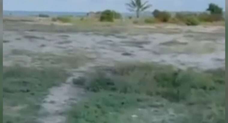 5,402SQM PRIME BEACH SPACE,JANGWANI,SEA BREEZE