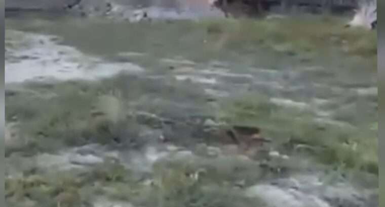 5,402SQM PRIME BEACH SPACE,JANGWANI,SEA BREEZE