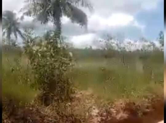 11.6 ACRES’-LAND AT MWANAMBAYA