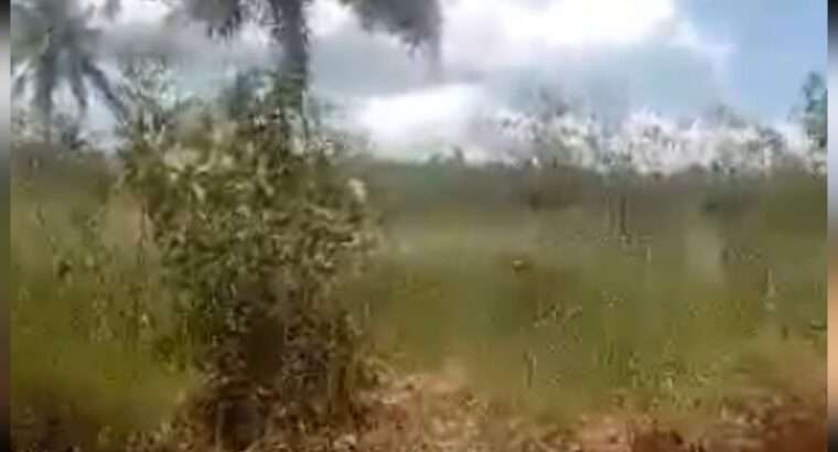 11.6 ACRES’-LAND AT MWANAMBAYA