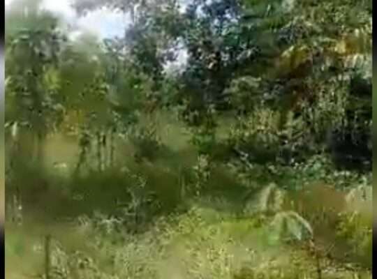 11.6 ACRES’-LAND AT MWANAMBAYA