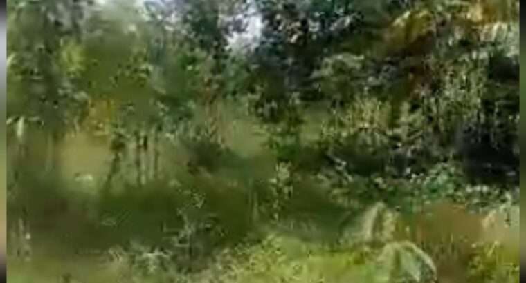 11.6 ACRES’-LAND AT MWANAMBAYA