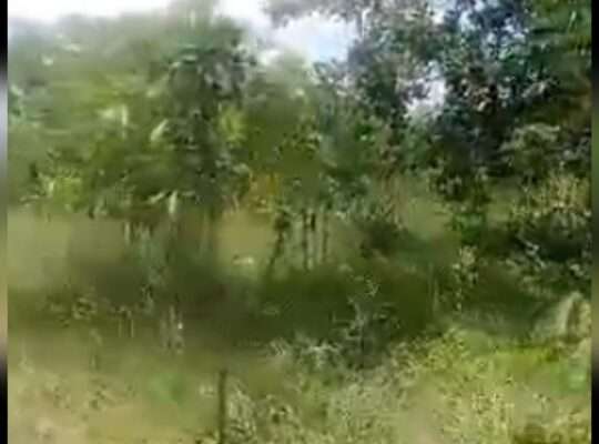 11.6 ACRES’-LAND AT MWANAMBAYA