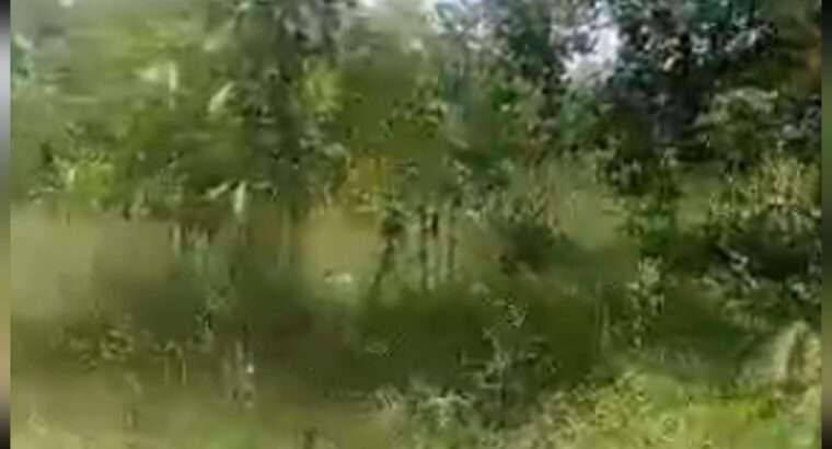 11.6 ACRES’-LAND AT MWANAMBAYA