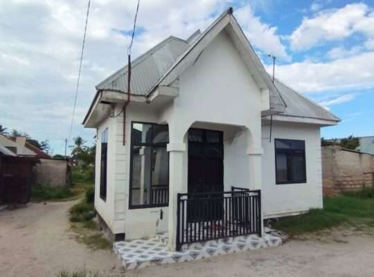 NYUMBA YA VYUMBA 3,TSHS.20 MIL,MAJOHE VIWEGE.