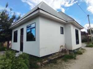 NYUMBA YA VYUMBA 3,TSHS.20 MIL,MAJOHE VIWEGE.