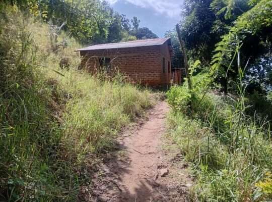 EKARI 25,SHAMBA/MAZAO INAUZA BANK,MOROGORO