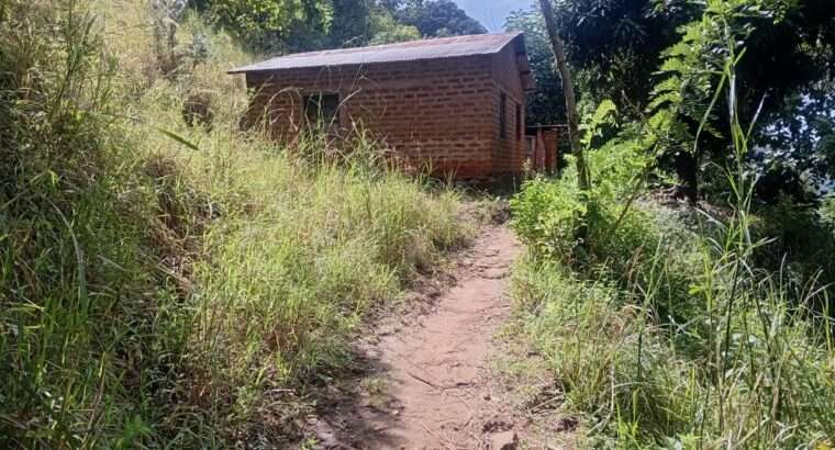 EKARI 25,SHAMBA/MAZAO INAUZA BANK,MOROGORO